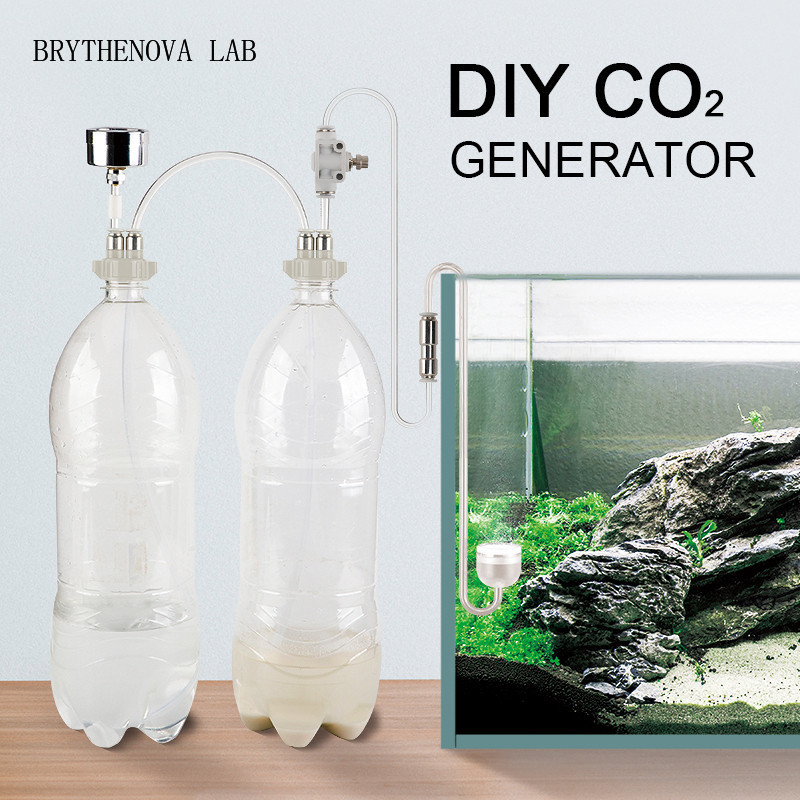 Aquarium Plant Delivery - CO2 Jeneratörü Akvaryum Bitkili Tank CO2