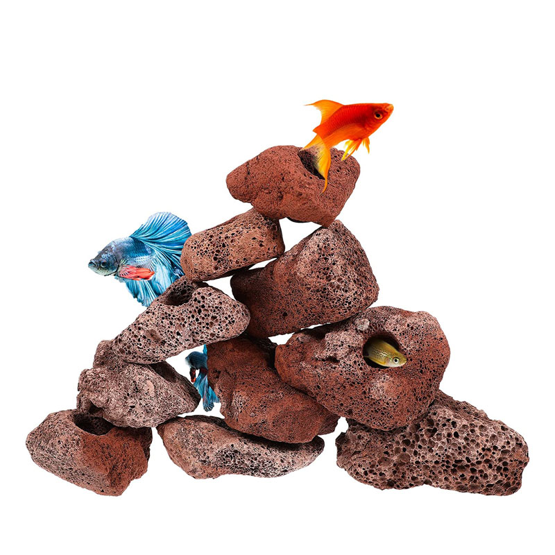 Planted Aquarium With Rocks - Açık delik kaya balık karides barınak