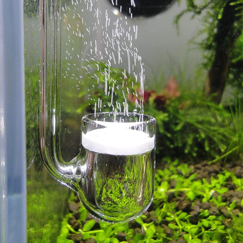 Aquarium Plant Delivery - Akvaryum için D0AD Cam CO2 Difüzörü