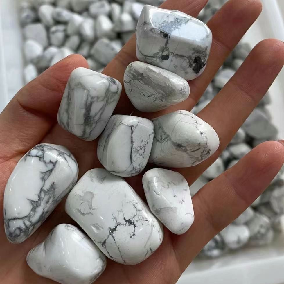 Planted Aquarium With Rocks - Doğal Beyaz Turkuaz Kaya Ham Taş