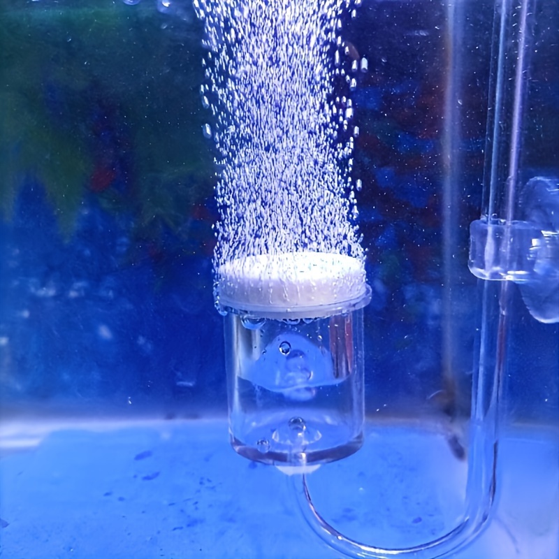 Aquarium Plant Delivery - Akvaryum Cam CO2 Atomizer Difüzör Kabarcık
