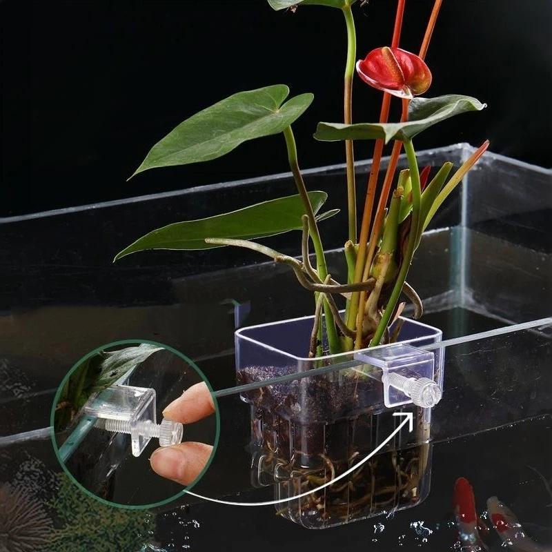 Aquarium Plant Easy To Grow - Şeffaf Asılabilir Akvaryum Bitki Tutucu, Balık