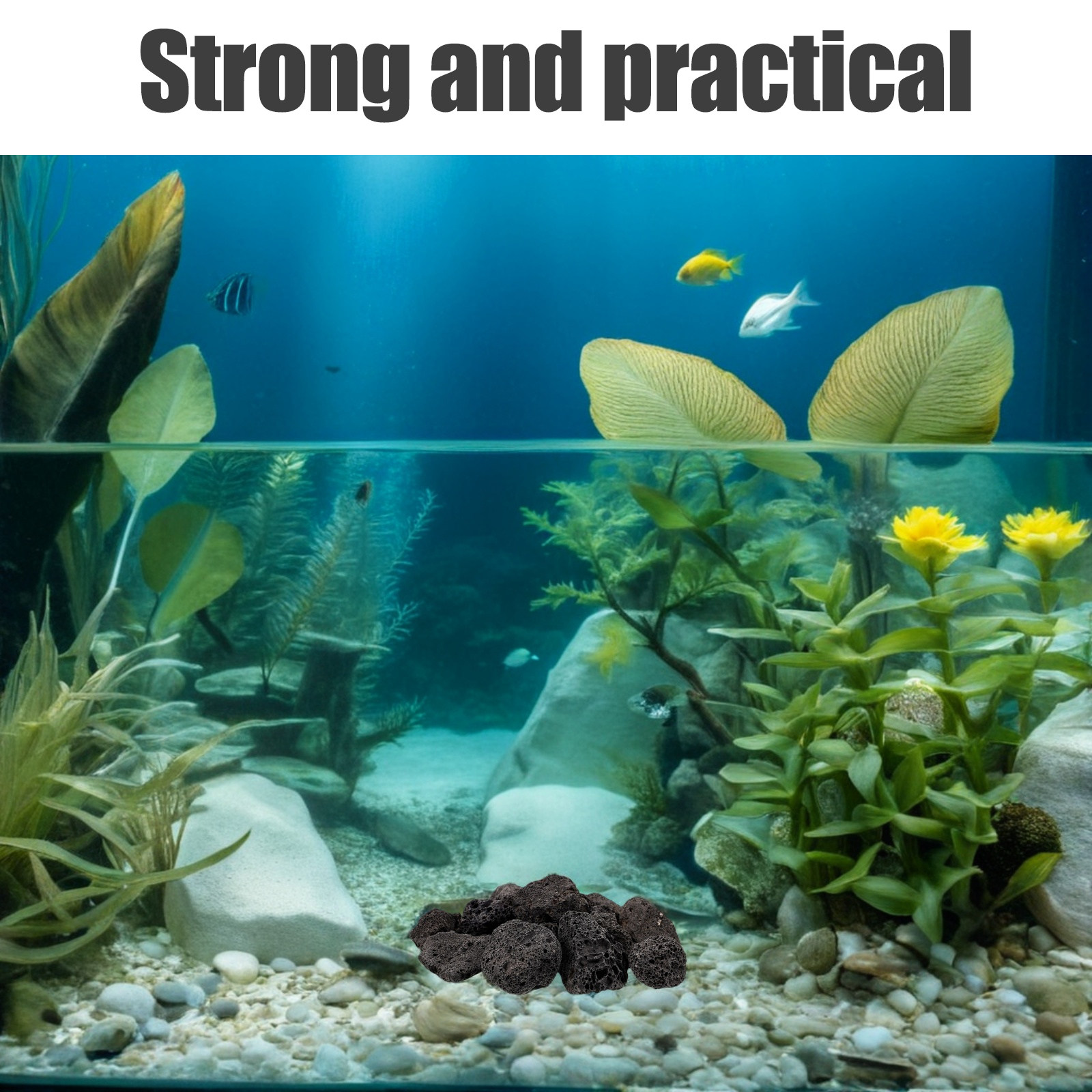 Planted Aquarium With Rocks - 1 Paket Volkanik Taş Dekorasyon Taşları