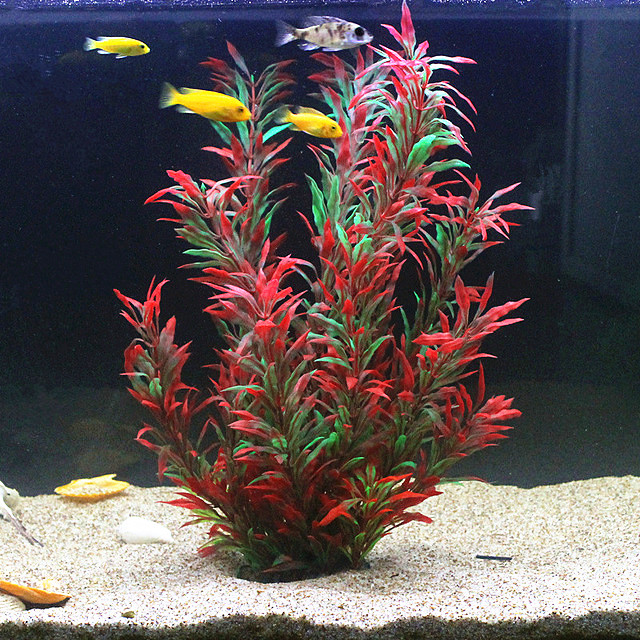 Aquarium Plant Delivery - 50 CM Yapay Balık Tankı Nadir