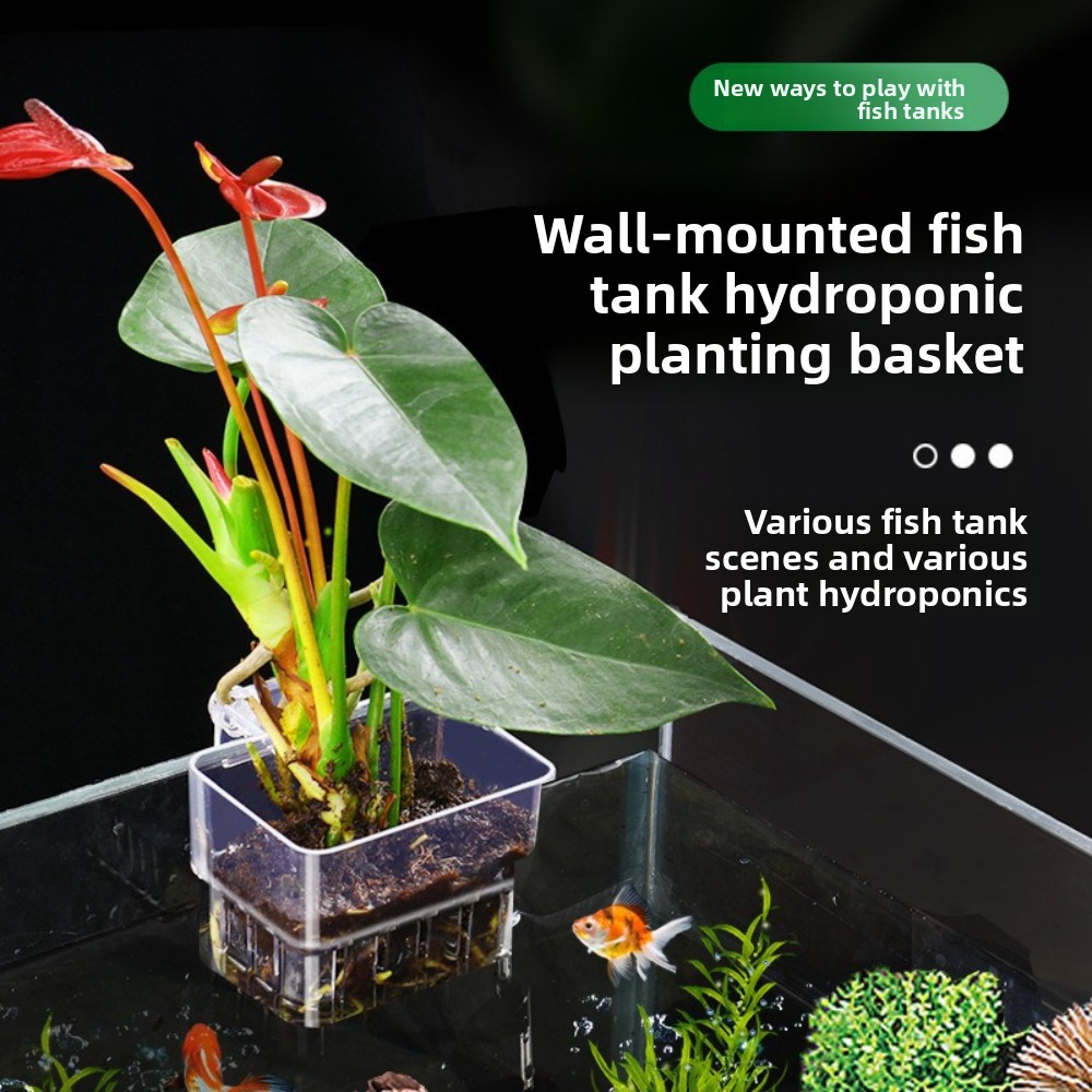Aquarium Plant Grass - Akvaryum Hidroponik Dikim Sepeti Balık Kabarcıkları
