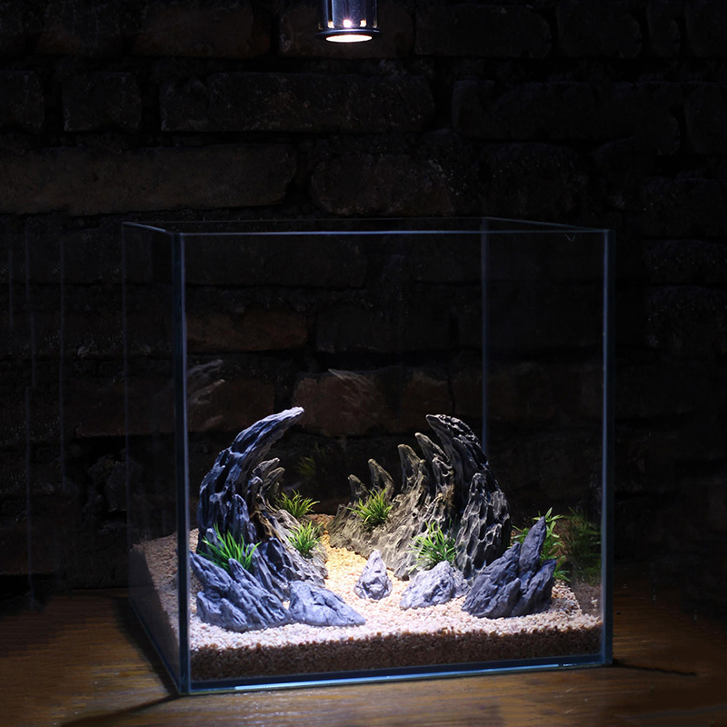 Planted Aquarium With Rocks - Akvaryum süslemeleri için balık tankı simülasyon
