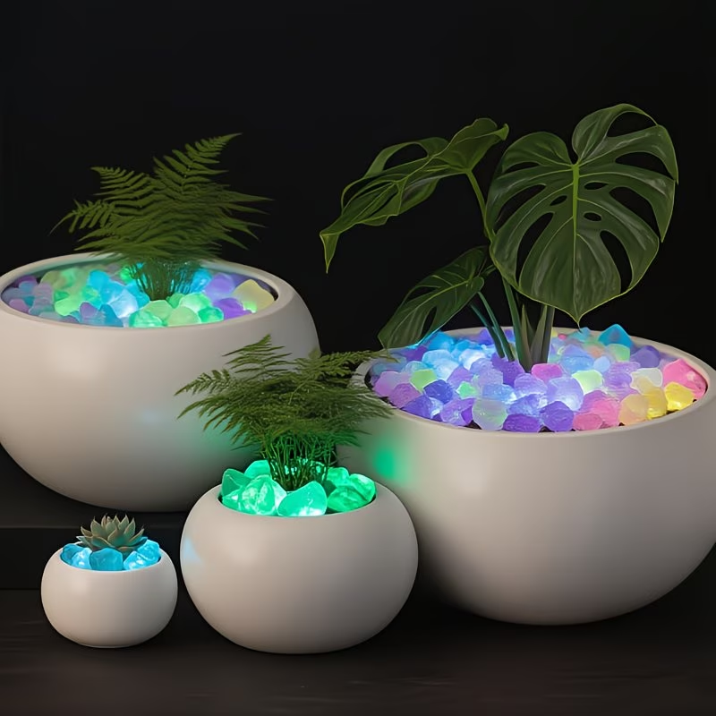 300 adet aydınlık çakıl seti,  - Aquarium Plant Delivery incelemesi ve fiyatı