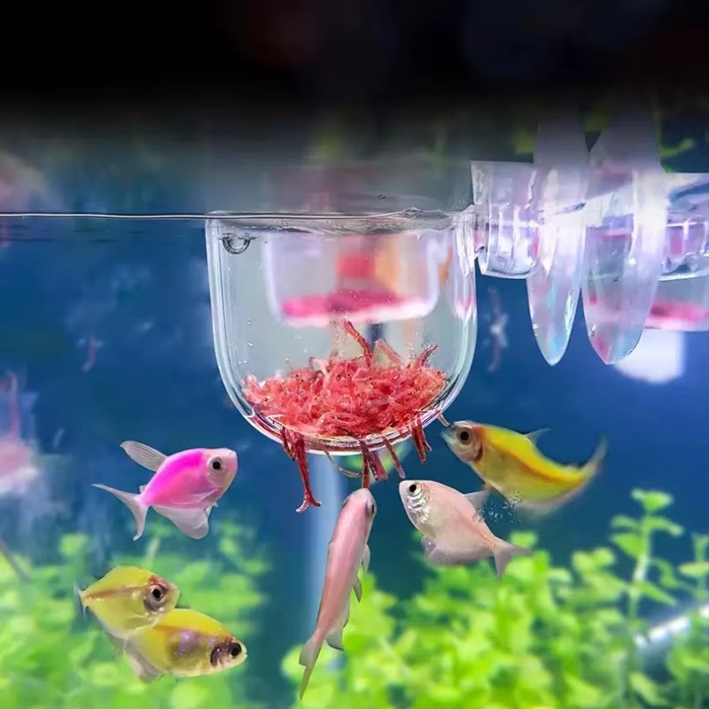 Fabrika Akvaryum Dekorasyonu A - Aquarium Plant Factory incelemesi ve fiyatı
