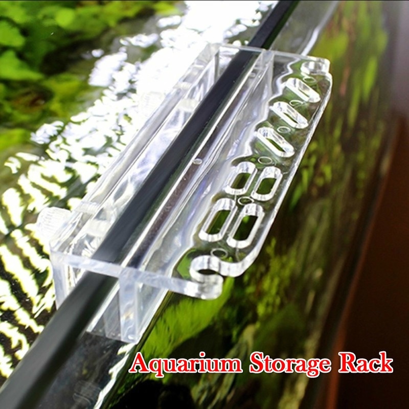 1 adet yeni akvaryum bitki ara - Aquarium Plant Delivery incelemesi ve fiyatı