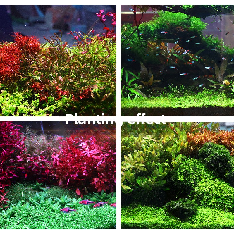 SYSENCIAGA Dikilmiş Akvaryum S - Aquarium Planted Tank Fertilizer incelemesi ve fiyatı