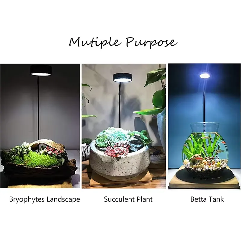 Akvaryum Nano Tankı Betta Balı - Aquarium Plant Light Spectrum incelemesi ve fiyatı