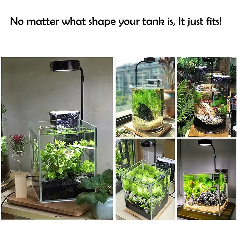 Akvaryum Nano Tankı Betta Balı - Aquarium Plant Light Spectrum incelemesi ve fiyatı