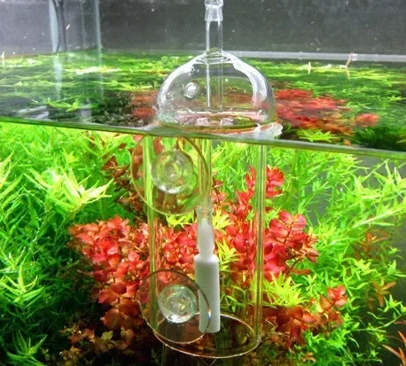 VIV Yapma Cihazı Akvaryum Sili - Aquarium Plant Delivery incelemesi ve fiyatı