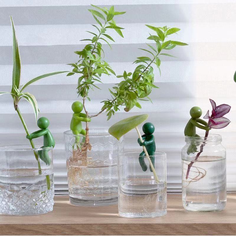 Hidroponik Bitki Sabitleme Fig - Tissue Culture Plant incelemesi ve fiyatı