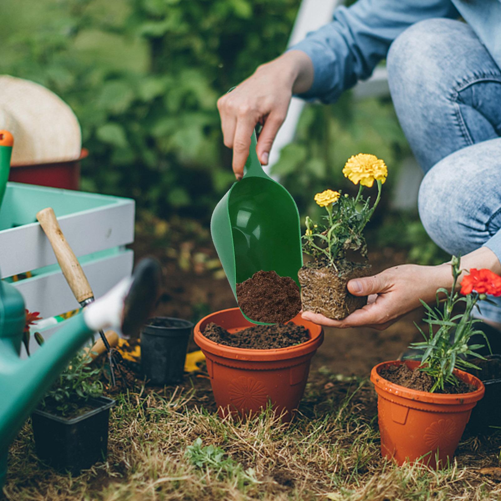 Bahçe Küreği Toprak Kepçeleri  - Tissue Culture Plant incelemesi ve fiyatı