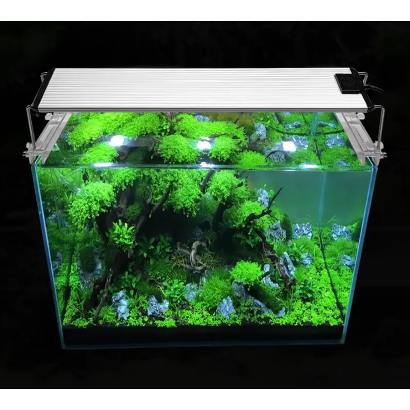 RGB Tam Spektrumlu Gümüş Dokun - Planted Aquarium Hours incelemesi ve fiyatı