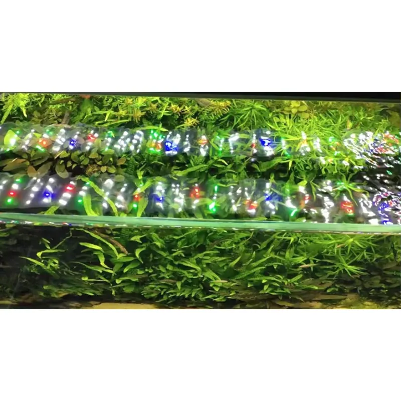 RGB Tam Spektrumlu Gümüş Dokun - Planted Aquarium Hours incelemesi ve fiyatı