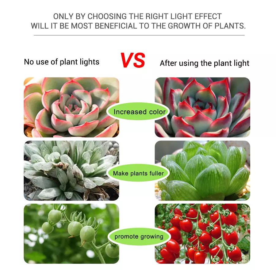 LED Şeritler 5 V Büyümek Led Ç - Planted Aquarium Hours incelemesi ve fiyatı