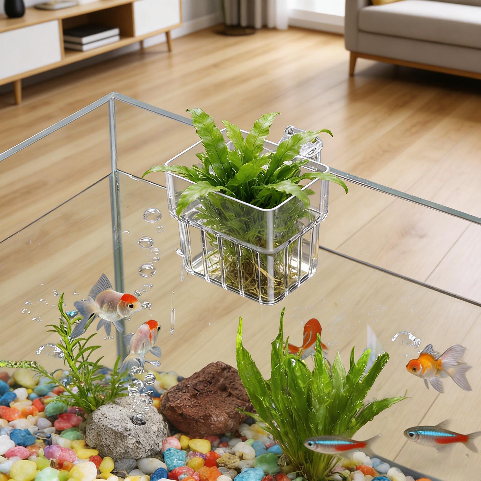 Şeffaf Asılabilir Akvaryum Bit - Planted Aquarium Kit incelemesi ve fiyatı