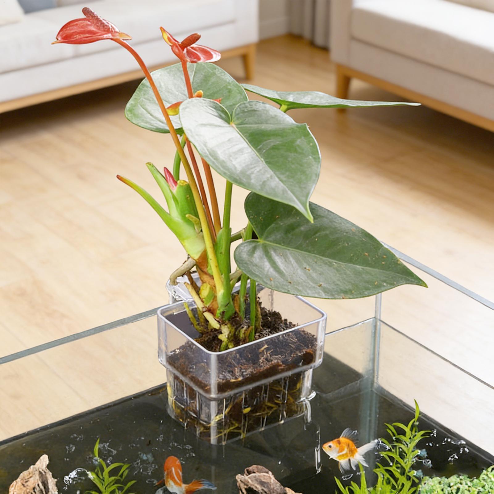 Şeffaf Asılabilir Akvaryum Bit - Planted Aquarium Kit incelemesi ve fiyatı