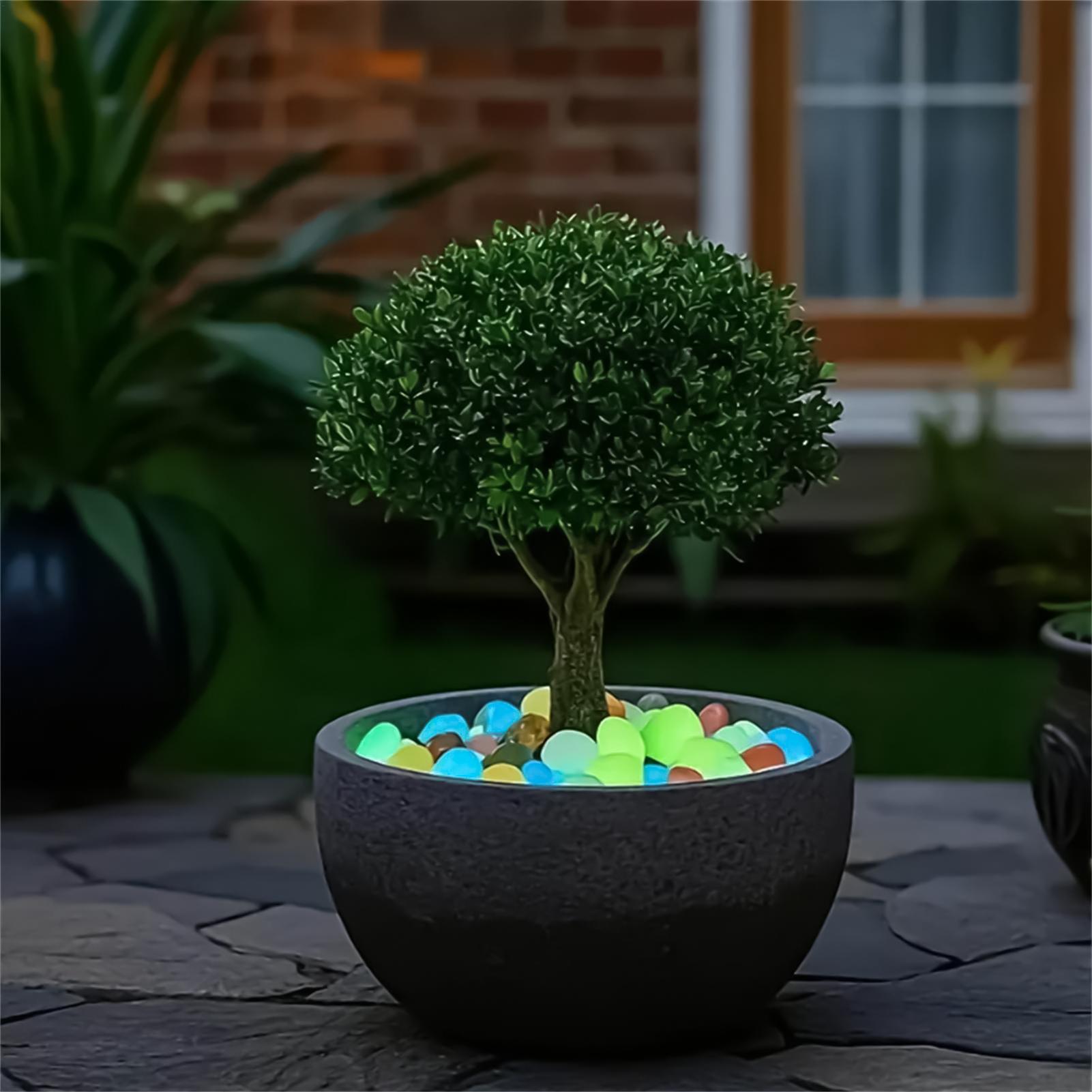 Peyzaj Taşları 20 Parça 1.8 İn - Planted Aquarium With Rocks incelemesi ve fiyatı