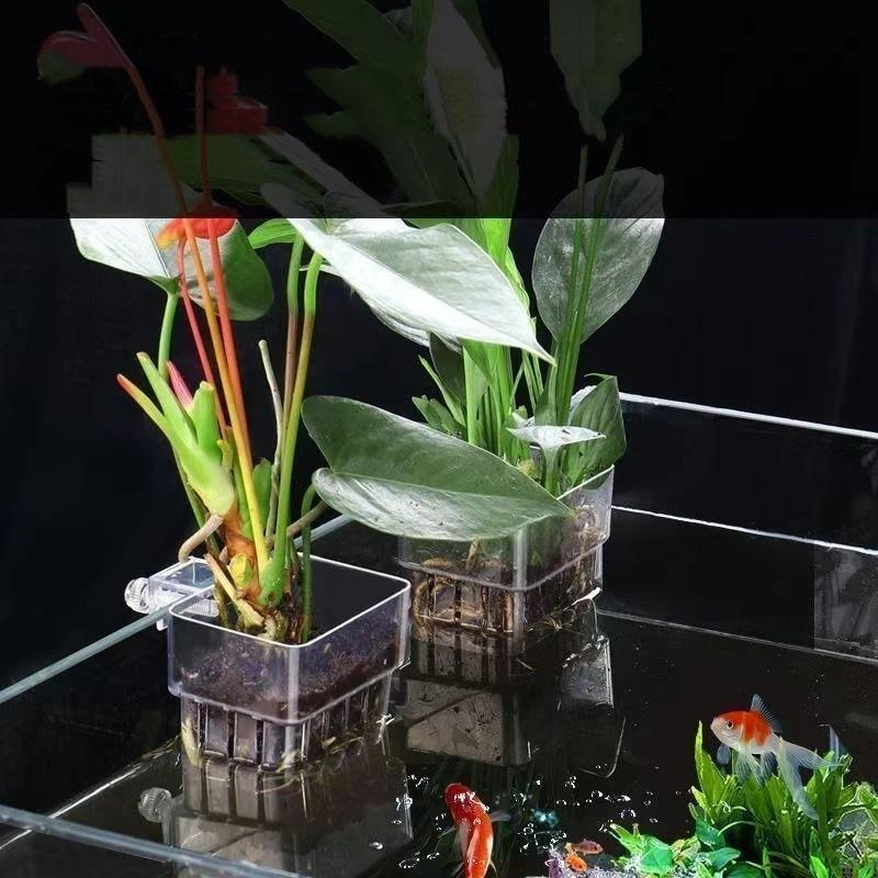 Şeffaf Asılabilir Akvaryum Bit - Aquarium Plant Easy To Grow incelemesi ve fiyatı
