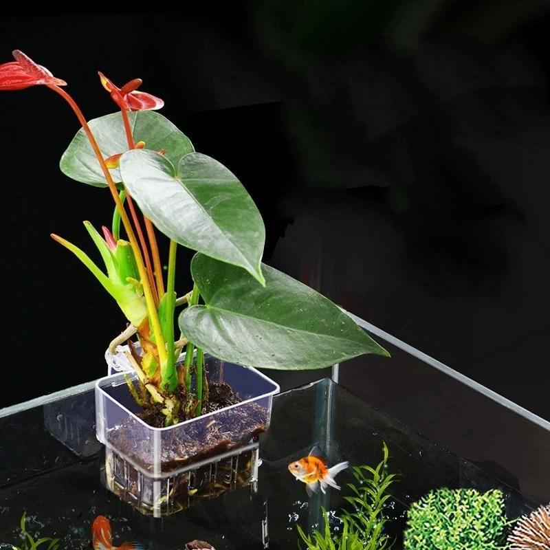 Şeffaf Asılabilir Akvaryum Bit - Aquarium Plant Easy To Grow incelemesi ve fiyatı