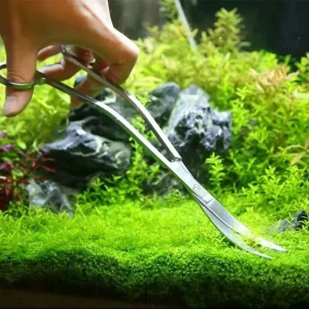 1 adet Paslanmaz Çelik Akvaryu - Aquarium Plant Grass incelemesi ve fiyatı