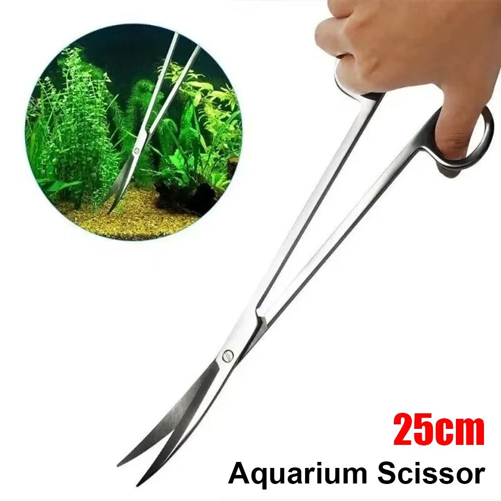 1 adet Paslanmaz Çelik Akvaryu - Aquarium Plant Grass incelemesi ve fiyatı
