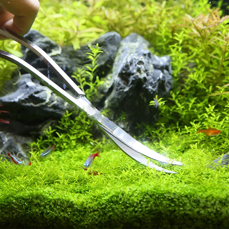 Akvaryum Makas Araçları Balık  - Aquarium Plant Grass incelemesi ve fiyatı