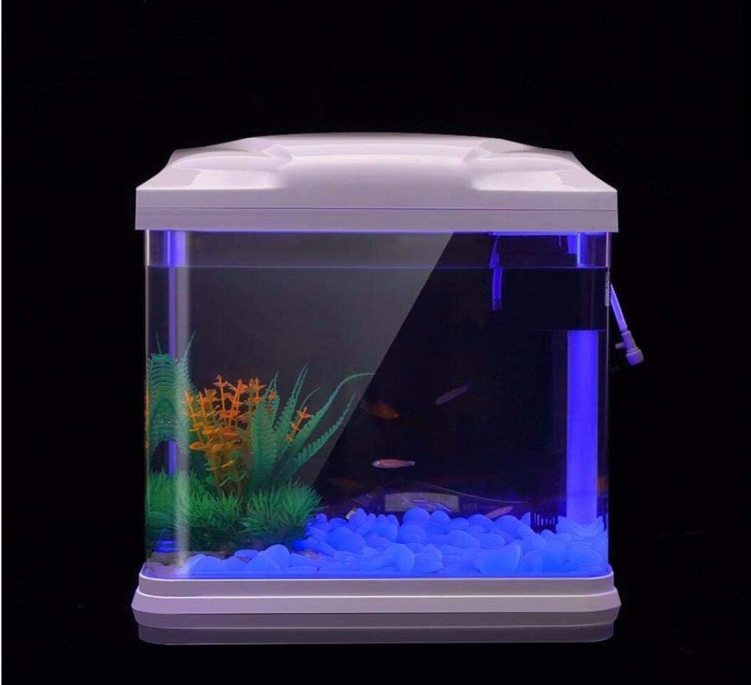 Balık Tankı Kayalar Bahçe için - Planted Aquarium With Rocks incelemesi ve fiyatı
