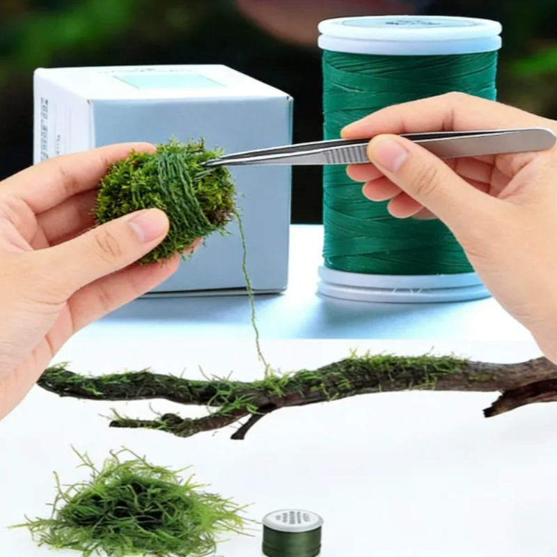 Biyobozunur Akvaryum Yosun İpi - Planted Aquarium With Rocks incelemesi ve fiyatı