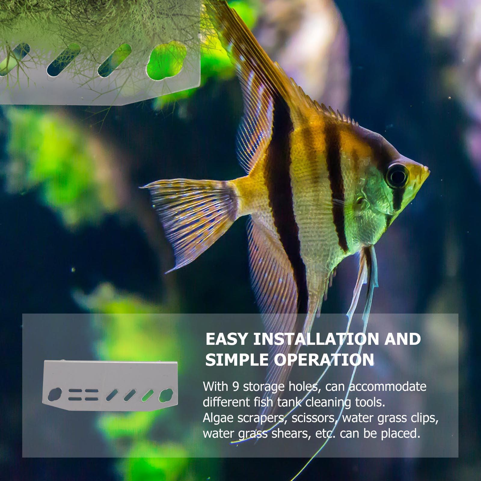 1 Adet Akvaryum Alet Rafı Pasl - Aquarium Plant Grass incelemesi ve fiyatı