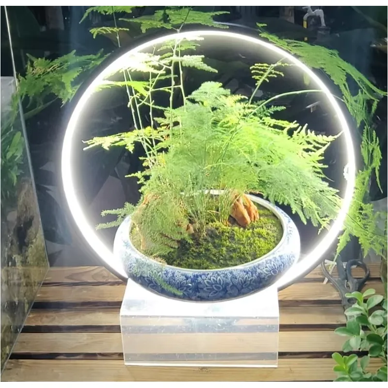 Mini Akvaryumlar için Masaüstü - Planted Aquarium Hours incelemesi ve fiyatı