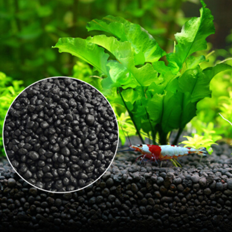 Akvaryum bitki tohumları topra - Aquarium Plant Delivery incelemesi ve fiyatı