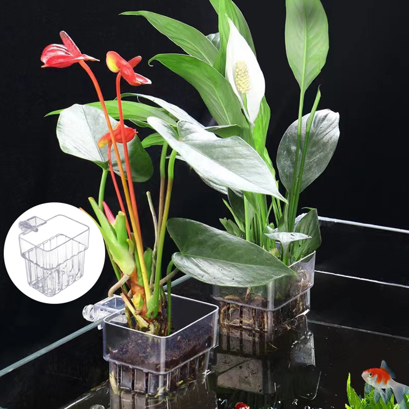 Çok fonksiyonlu balık akvaryum - Aquarium Plant Grass incelemesi ve fiyatı
