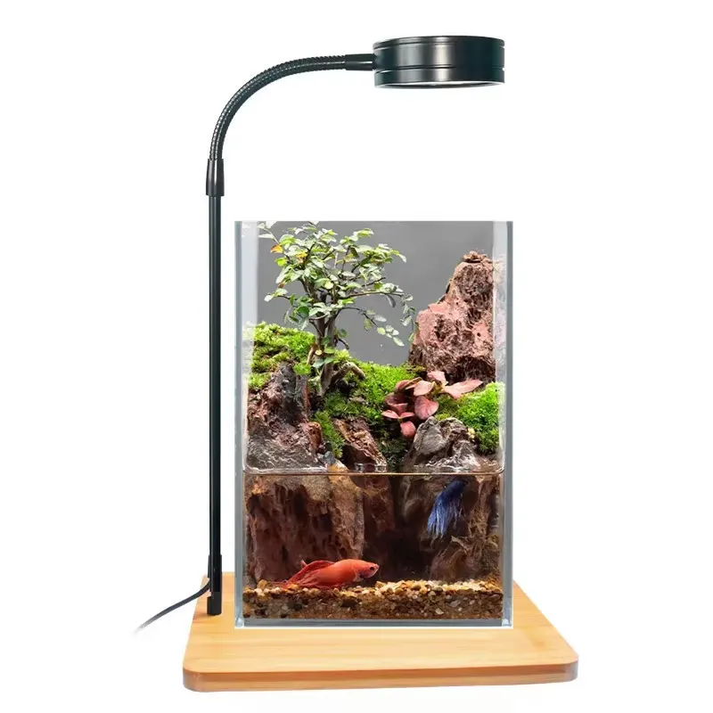 Masaüstü Dekorasyon Zamanlayıc - Planted Aquarium Hours incelemesi ve fiyatı