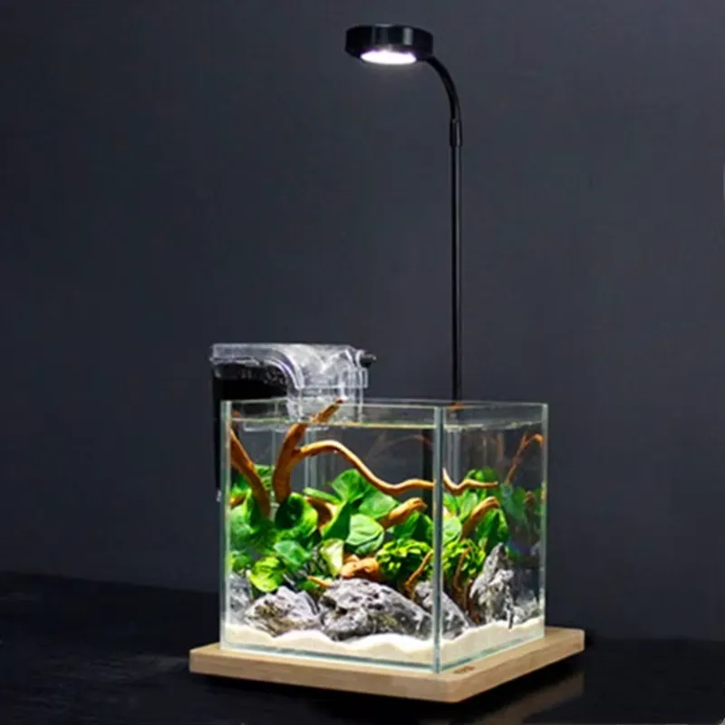 Masaüstü Dekorasyon Zamanlayıc - Planted Aquarium Hours incelemesi ve fiyatı