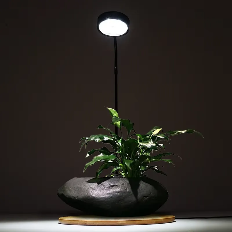 Masaüstü Dekorasyon Zamanlayıc - Planted Aquarium Hours incelemesi ve fiyatı