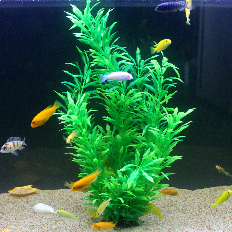 50 CM Yapay Balık Tankı Nadir  - Aquarium Plant Delivery incelemesi ve fiyatı