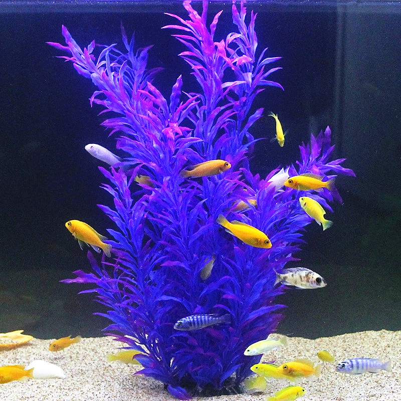 50 CM Yapay Balık Tankı Nadir  - Aquarium Plant Delivery incelemesi ve fiyatı