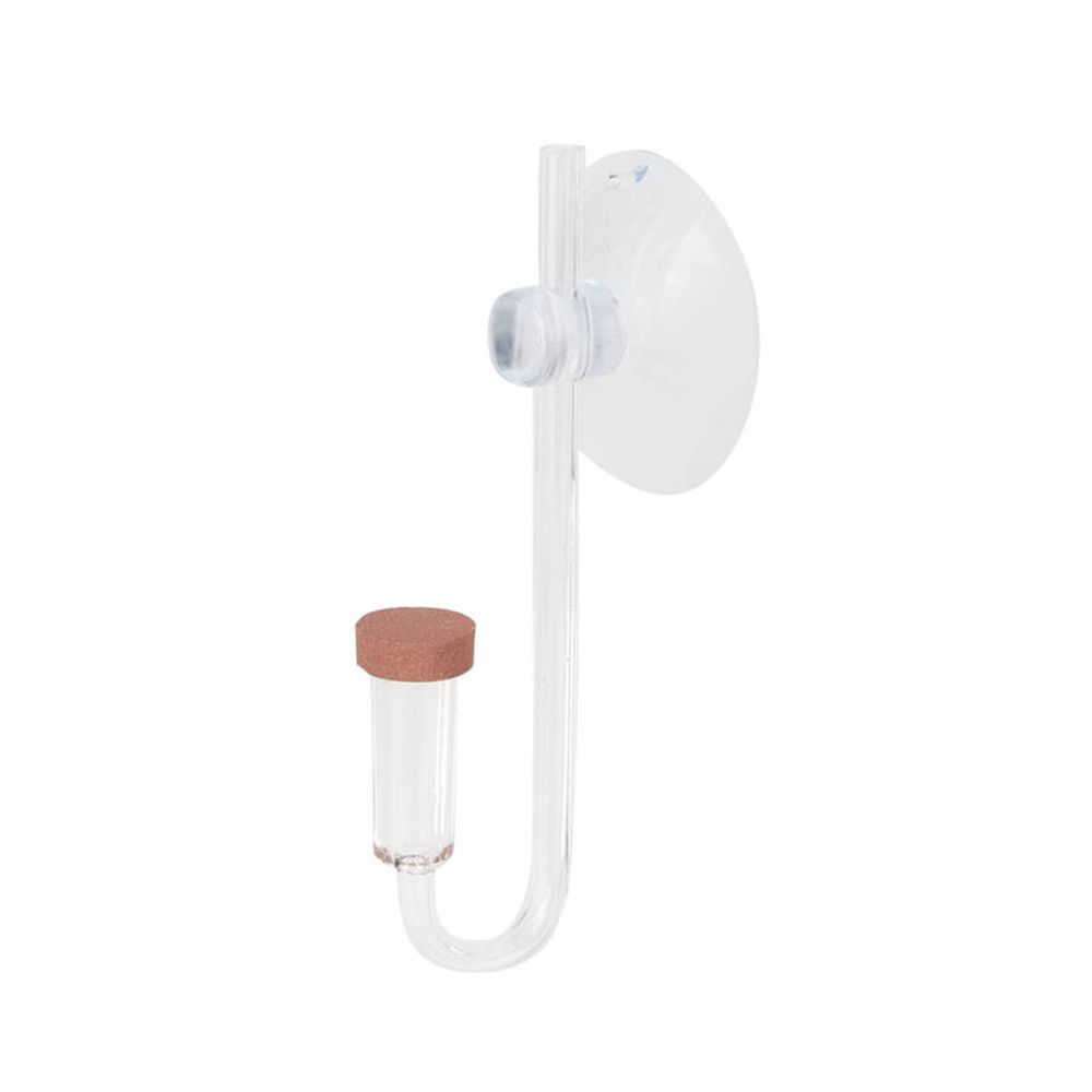 Akrilik Mini Balık Tankı Canlı - Aquarium Plant Delivery incelemesi ve fiyatı