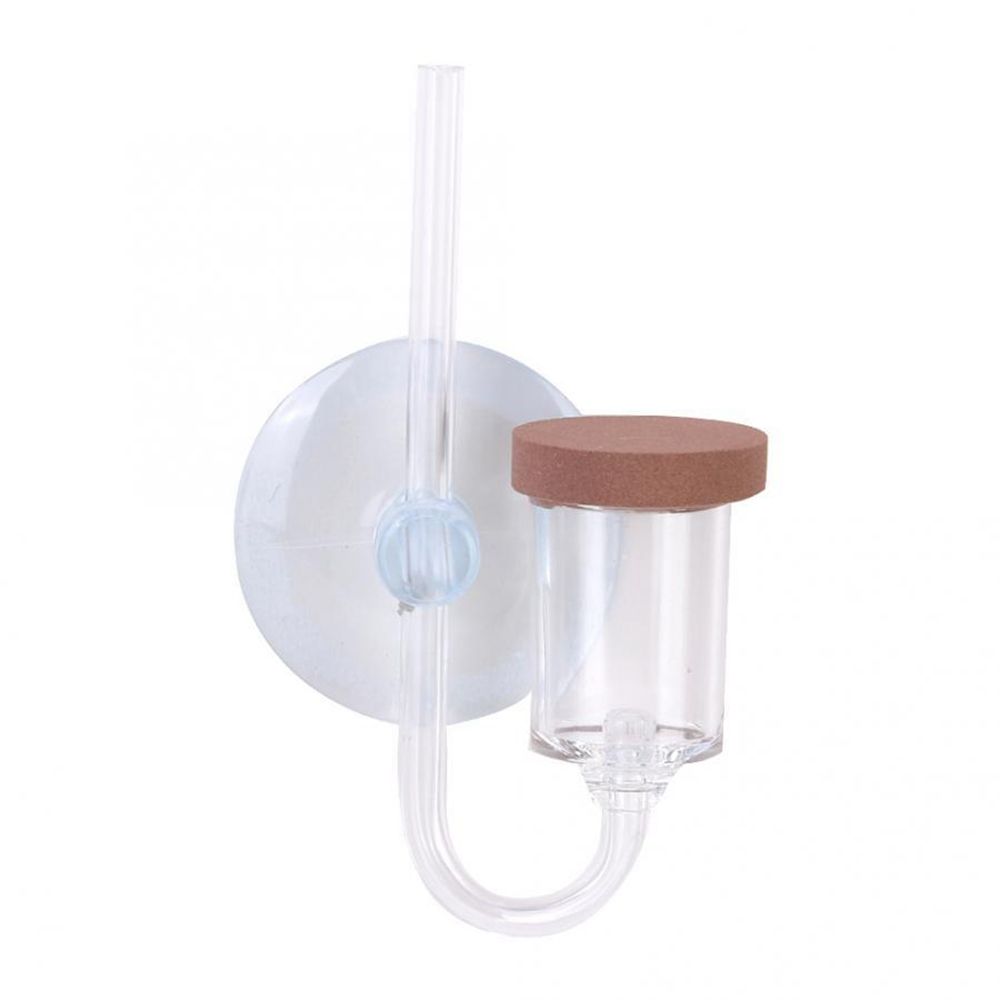 Akrilik Mini Balık Tankı Canlı - Aquarium Plant Delivery incelemesi ve fiyatı