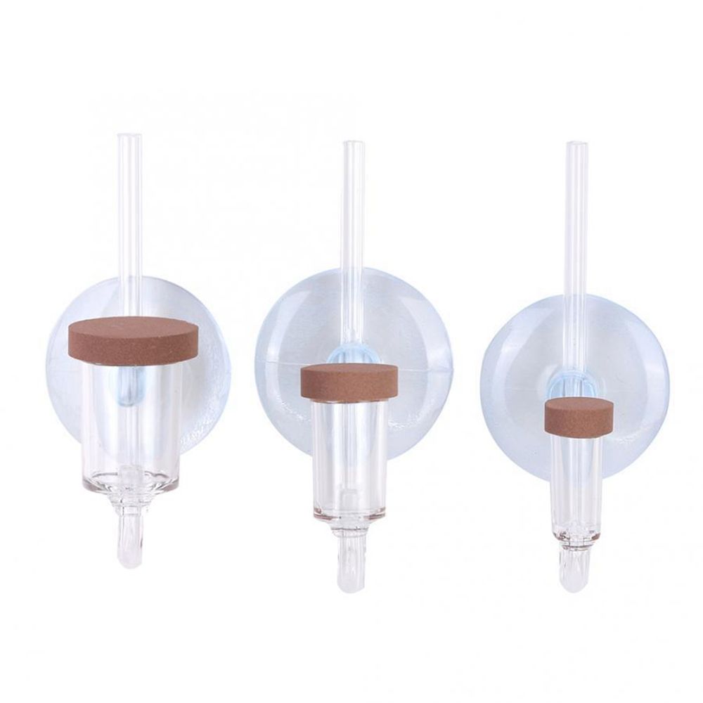 Akrilik Mini Balık Tankı Canlı - Aquarium Plant Delivery incelemesi ve fiyatı