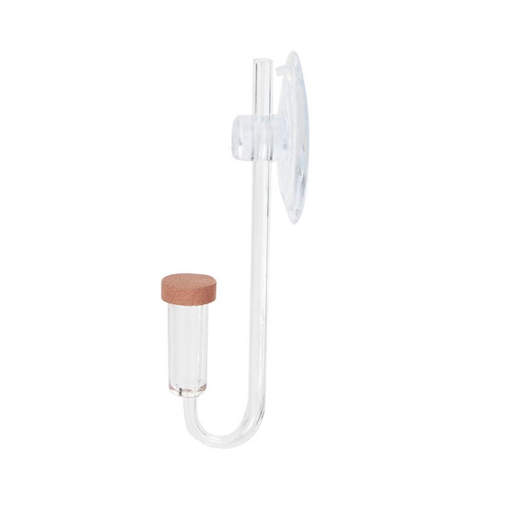 Akrilik Mini Balık Tankı Canlı - Aquarium Plant Delivery incelemesi ve fiyatı