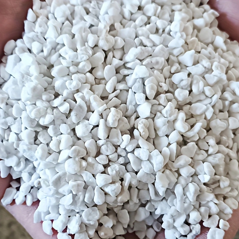 1 Paket 3-6mm Bahçıvanlık Perl - Tissue Culture Plant incelemesi ve fiyatı