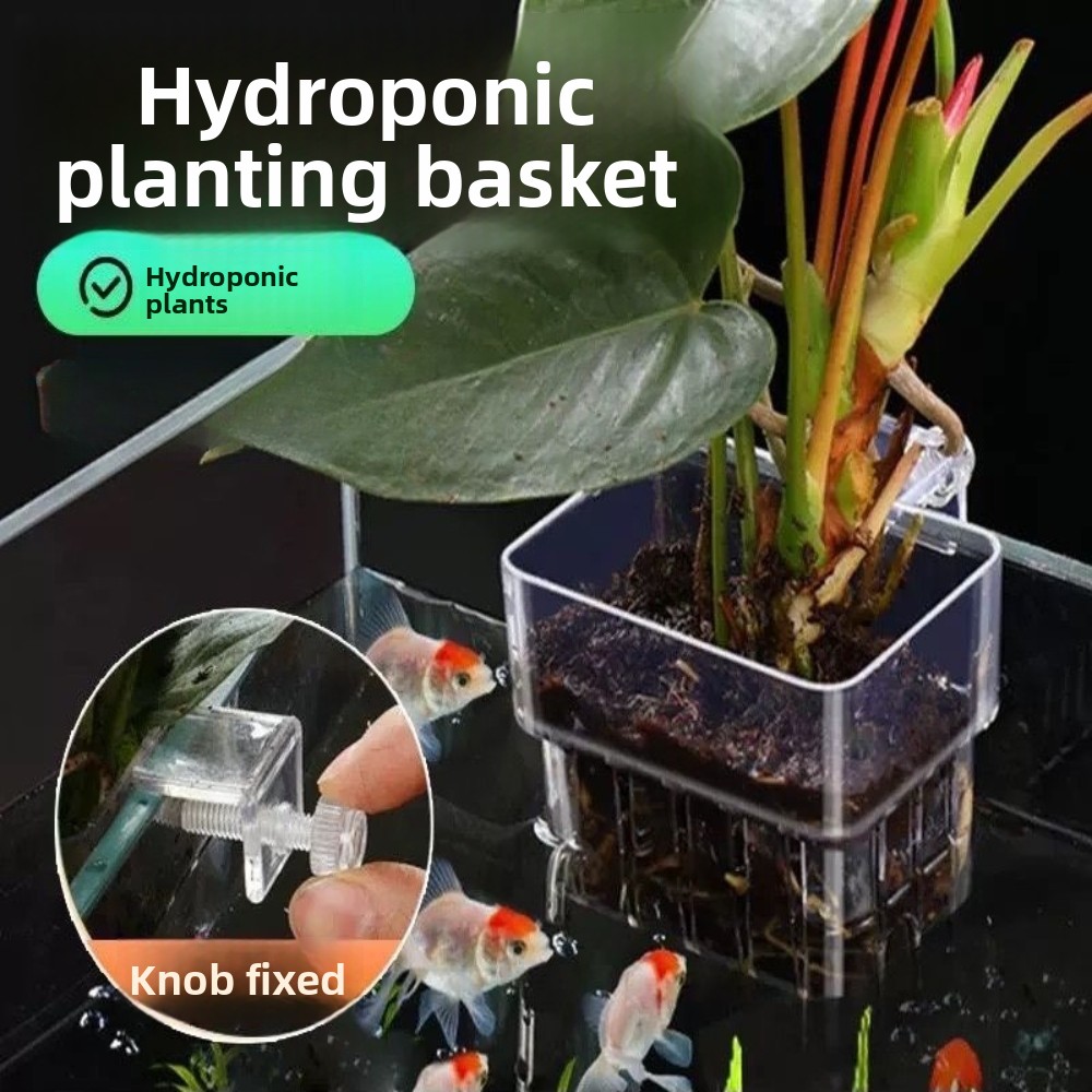 Akvaryum Hidroponik Dikim Sepe - Aquarium Plant Grass incelemesi ve fiyatı