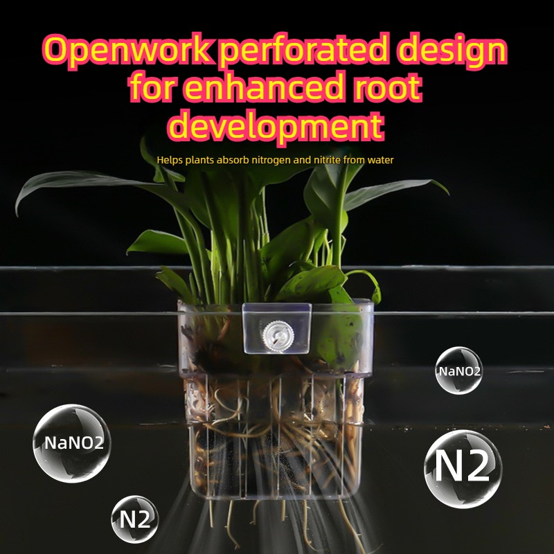 Akvaryum Hidroponik Dikim Sepe - Aquarium Plant Grass incelemesi ve fiyatı