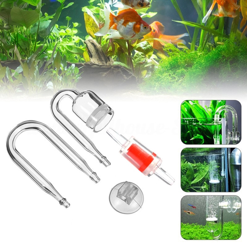 4 adet Set DIY CO2 difüzör içi - Aquarium Plant Delivery incelemesi ve fiyatı