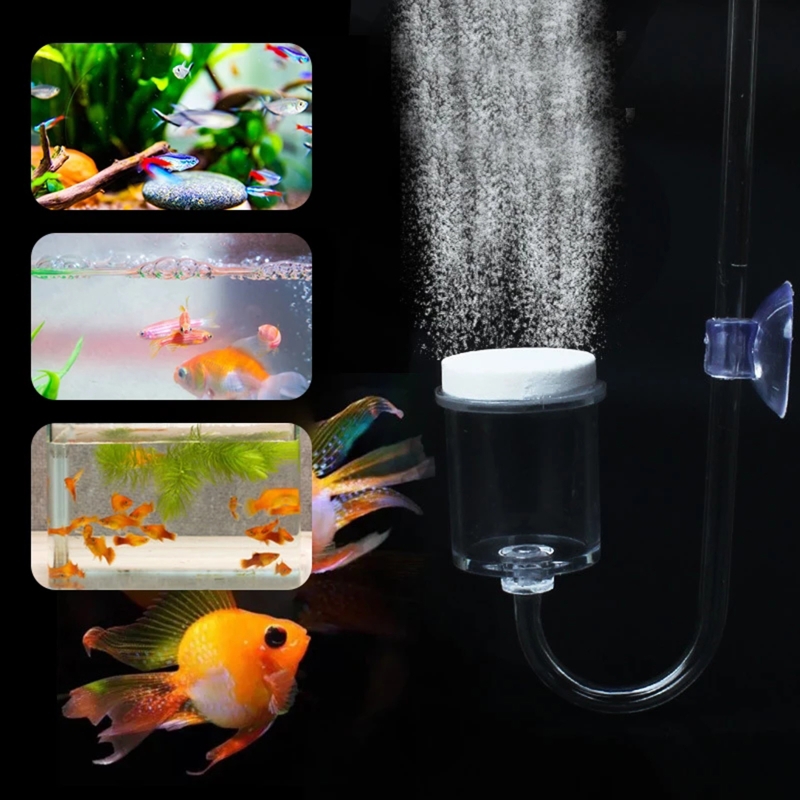 4 adet Set DIY CO2 difüzör içi - Aquarium Plant Delivery incelemesi ve fiyatı